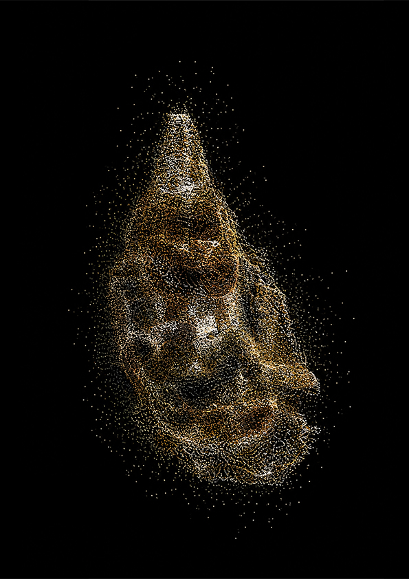 Research image 6